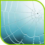 Sheffield Web Designers, Estona Internet Marketing
